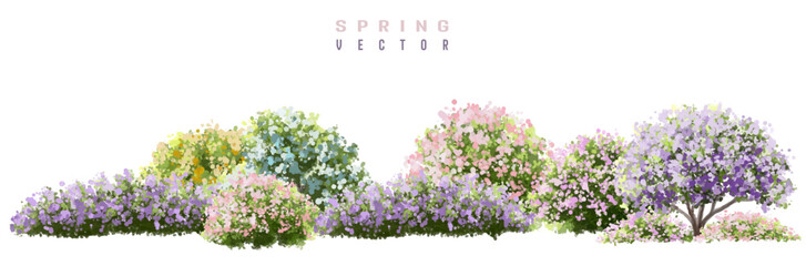 Vertor set of spring blossom tree,blooming plants side view  for landscape elevation and section,eco environment concept design,watercolor shrub illustration,colorful season