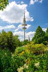 Naklejka premium Historic TV-Tower in Hamburg seen from the botanical garden at Planten un Bloomen