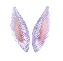 Fluffy white rabbit ears. Rabbit ears are painted in watercolor