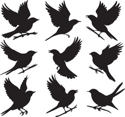 A vector Silhouette Image