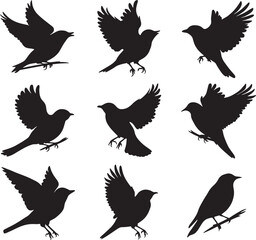 A vector Silhouette Image