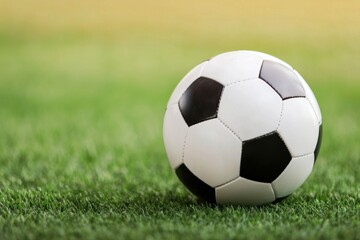 Obraz premium A classic black-and-white soccer ball resting on lush green grass, emblematic of outdoor sports and recreation.