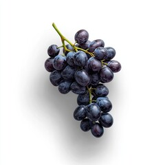 Fresh black grapes, studio shot, white background, healthy food
