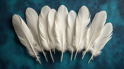 Naklejka premium Eight White Feathers Arranged on Teal Background