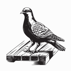 A Pigeon Standing on a Wooden Dock Plank, Gazing at the Peaceful Waterfront in Vector Art
