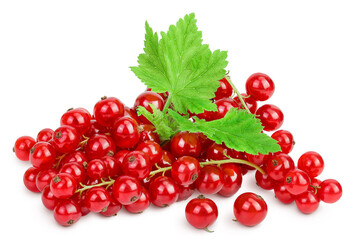 Red currant berries isolated on white background