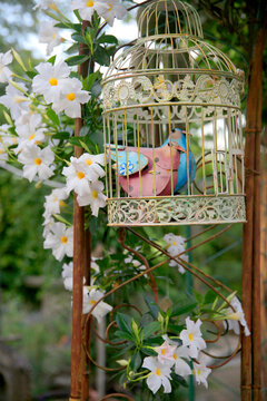 Deko-Vogelkäfig-Bilder: Stock-Fotos & -Videos