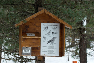 Distributeur de graine pour nourrissage des oiseaux. Réserve naturelle de Celerina, Bernina, Suisse