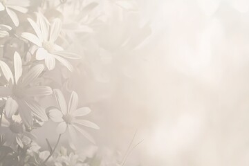 Soft dreamy white flowers in gentle sunlight
