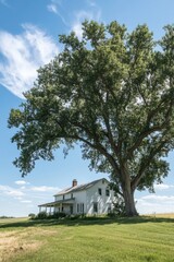 Fototapeta premium Majestic tree stands next to a rural house under a clear blue sky in the countryside surrounded by lush green fields on a sunny day
