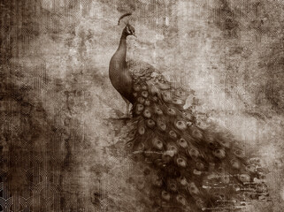 Beautiful peacock on grunge photo wallpaper with golden abstract elements on concrete background. Illustration for wallpaper, fresco, mural. © lucja_lusilas.pl