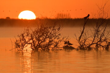 sunset over the river