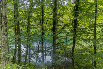 View over Kozjak Lake which is one of the largest lakes within Plitvice Lakes National Park, Croatia.