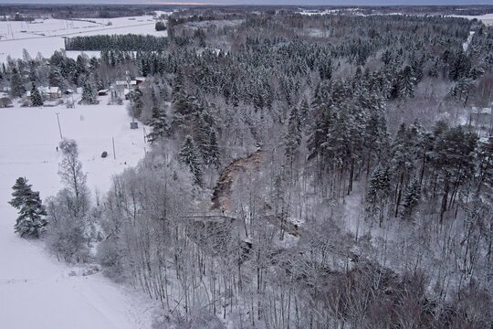 Aerial view of winter river landscape, snow covered branches, trees and ground, Nukarinkoski, Nurmijärvi, Finland. - Powered by Adobe