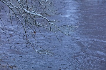 Snow covered branches and river flowing in winter, Nukarinkoski, Nurmijärvi, Finland.