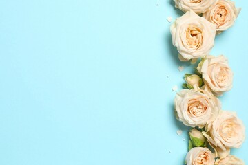 Beautiful composition with roses on color background 