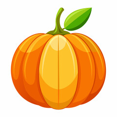 pumpkin isolated on white