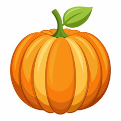 pumpkin isolated on white