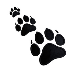 Black Paw Prints Trail 3D Render, Isolated on Transparent Background, Animal Tracks Design, paw print, animal footprint, 3d render