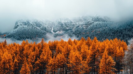 Autumn forest, snowy mountains, misty valley, landscape, travel