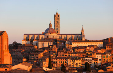 Obraz premium suggestive view at sunset of the Siena Cathedral with the tall bell tower and the houses illuminated by setting sun