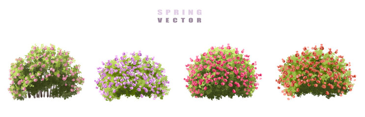 Fototapeta premium vector set of roses, Vector of tree or blooming side view isolated on white background ,watercolor tree elevation for landscape concept,environment scene,eco design,blossom garden for spring