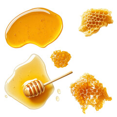 Set of honeycombs and honey spills isolated on white and transparent background