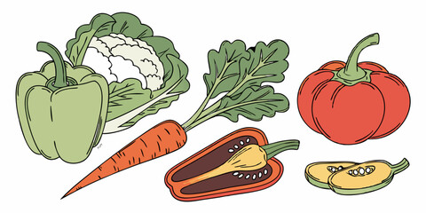 PNG Fresh colorful vegetables assortment, isolated element set, white background.