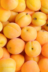 Ripe juicy orange apricots fruit background.