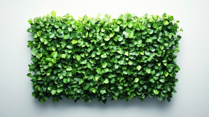 Lush Green Leaf Wall