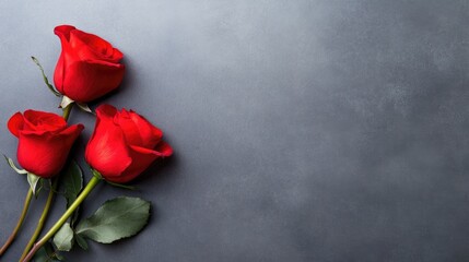 Fototapeta premium Three Red Roses On A Textured Gray Background