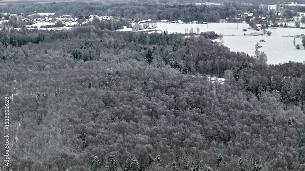 Poster drone view capturing dense pineforest with snow covered field at background on winter morning.