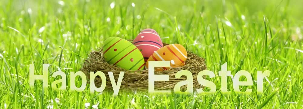 happy easter greetings in fresh spring meadow with grasses in slow motion wind and easter egg basket, beautiful sunny website header banner meassage for easter holidays