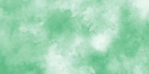 Vector white and green watercolor background,cover, banner, flyer, cards.natural organic shapes and design,abstract design paper textured, brush painted green watercolor