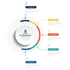 Business infographics. Chart with 5 steps, labels, options, circles. Vector infographic elements, circle chart