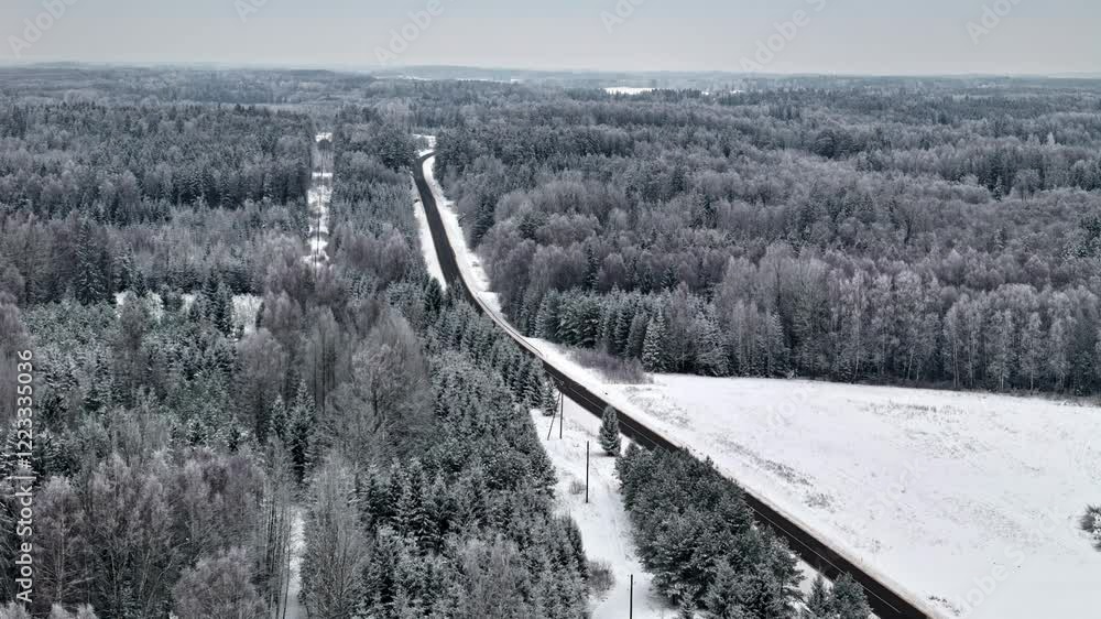 Poster a panoramic view reveals a snow-blanketed forest area with a winding road running through. the lands