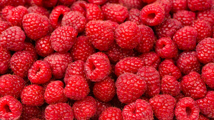 Tasty fresh raspberry as a background.