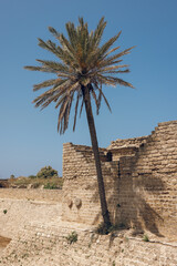 City Walls caesarea maritima