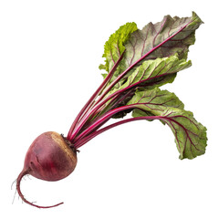 Fresh Beetroot with Greens, Isolated on Transparent Background, High-Resolution Image, Vegetable, Food Photography, beetroot, vegetable, food