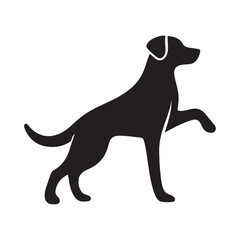 Silhuette of boxer dog isolated on white background