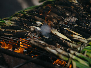 Barbacue grill on the grass