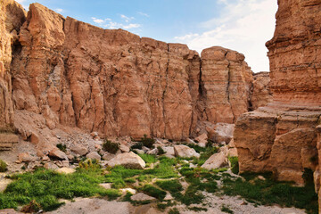 Fototapeta premium Wadi of Wonders: A Remote Gorge in Tunisia on the Libyan Border