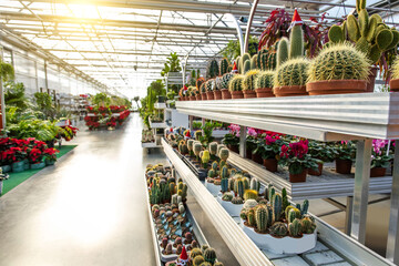 A beautiful space with flowers and green plants decorations