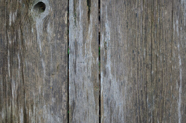 old wood texture