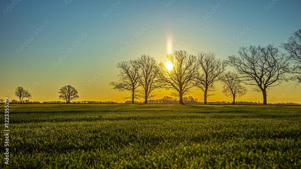 Poster golden hour timelapse of a serene rural landscape with bare trees and open fields