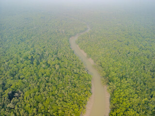 A muddy river winds through the Sundarbans near Dacope, Khulna, nourishing dense mangroves and...