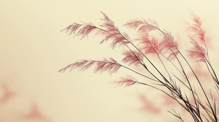 Obraz premium Gentle Pastel Grass Against Soft Cream Background in Minimalist Style