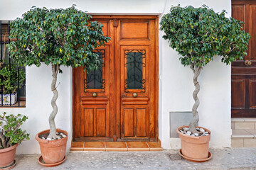 Fototapeta premium Entrance door of old classical whitewashed house decorated with potted tree plants. Typical street of small village in Spain