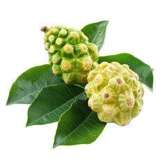 Fototapeta premium Non fruit with green leaves isolated on a Transparent background showcasing its unique texture and structure, Non with leaf isolated on PNG background