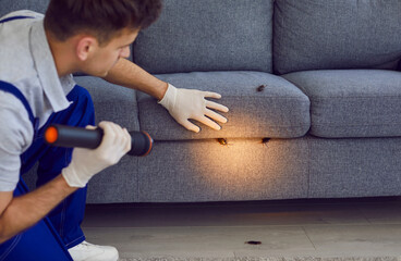 Young man worker exterminator in uniform shining a flashlight on cockroaches crawling on sofa at...